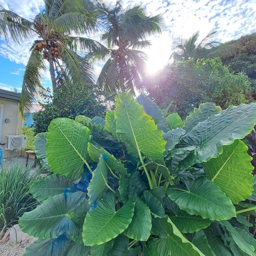 Happy Curoase Bed and Breakfast Willemstad Buitenkant foto