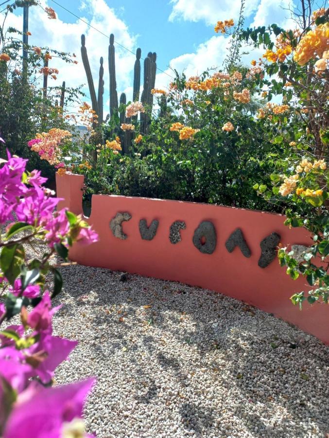 Happy Curoase Bed and Breakfast Willemstad Buitenkant foto