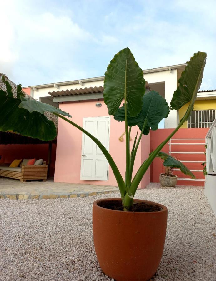 Happy Curoase Bed and Breakfast Willemstad Buitenkant foto