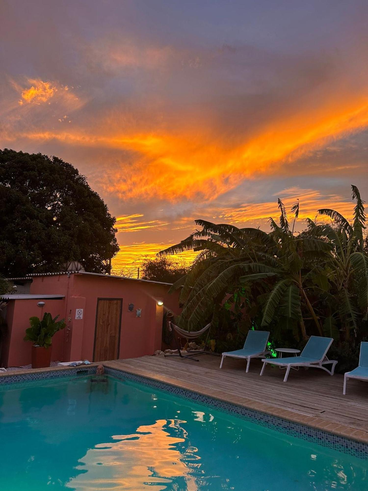 Happy Curoase Bed and Breakfast Willemstad Buitenkant foto