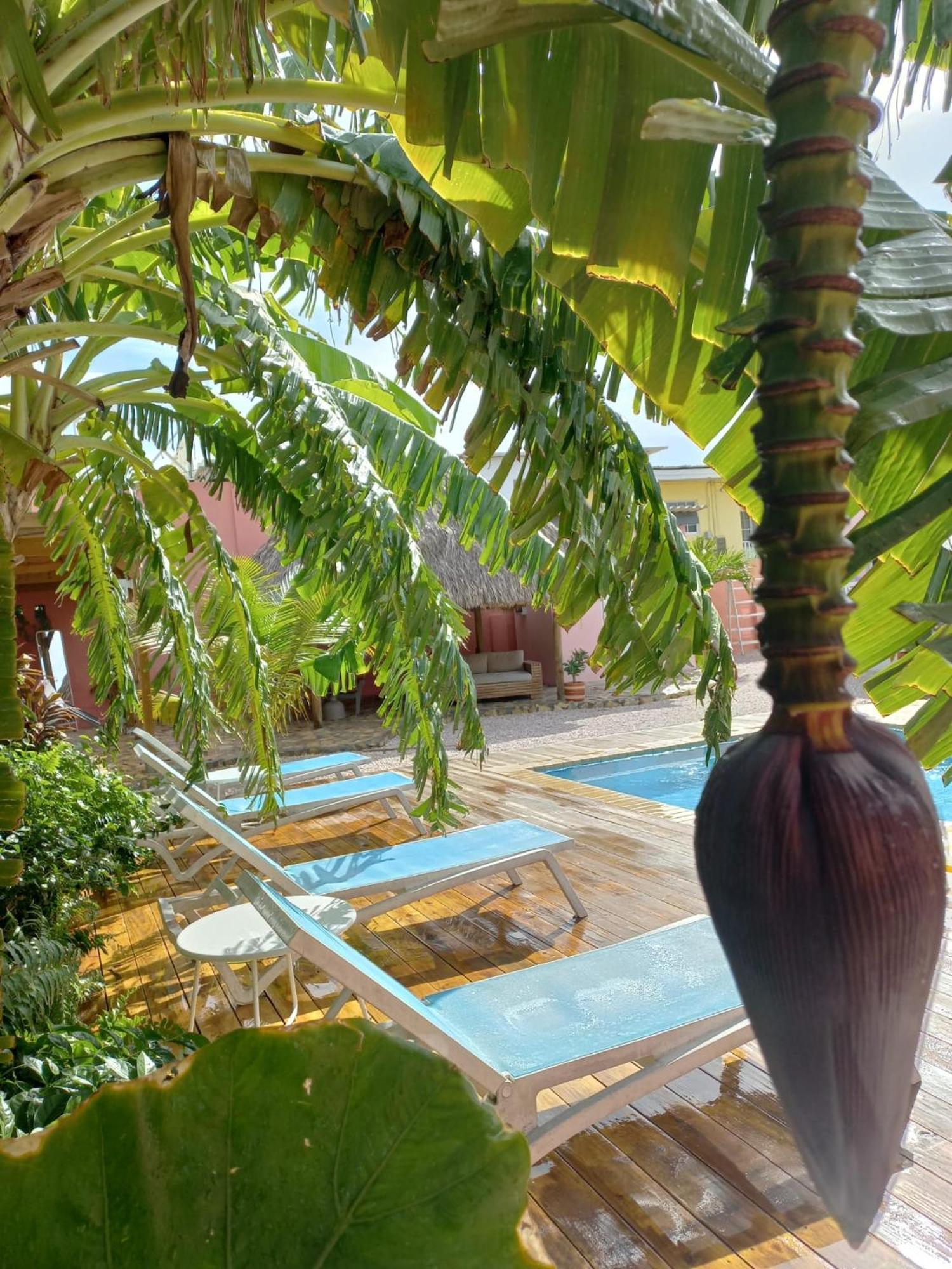 Happy Curoase Bed and Breakfast Willemstad Buitenkant foto