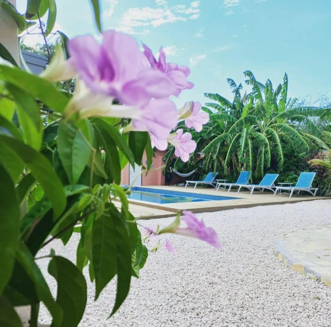 Happy Curoase Bed and Breakfast Willemstad Buitenkant foto