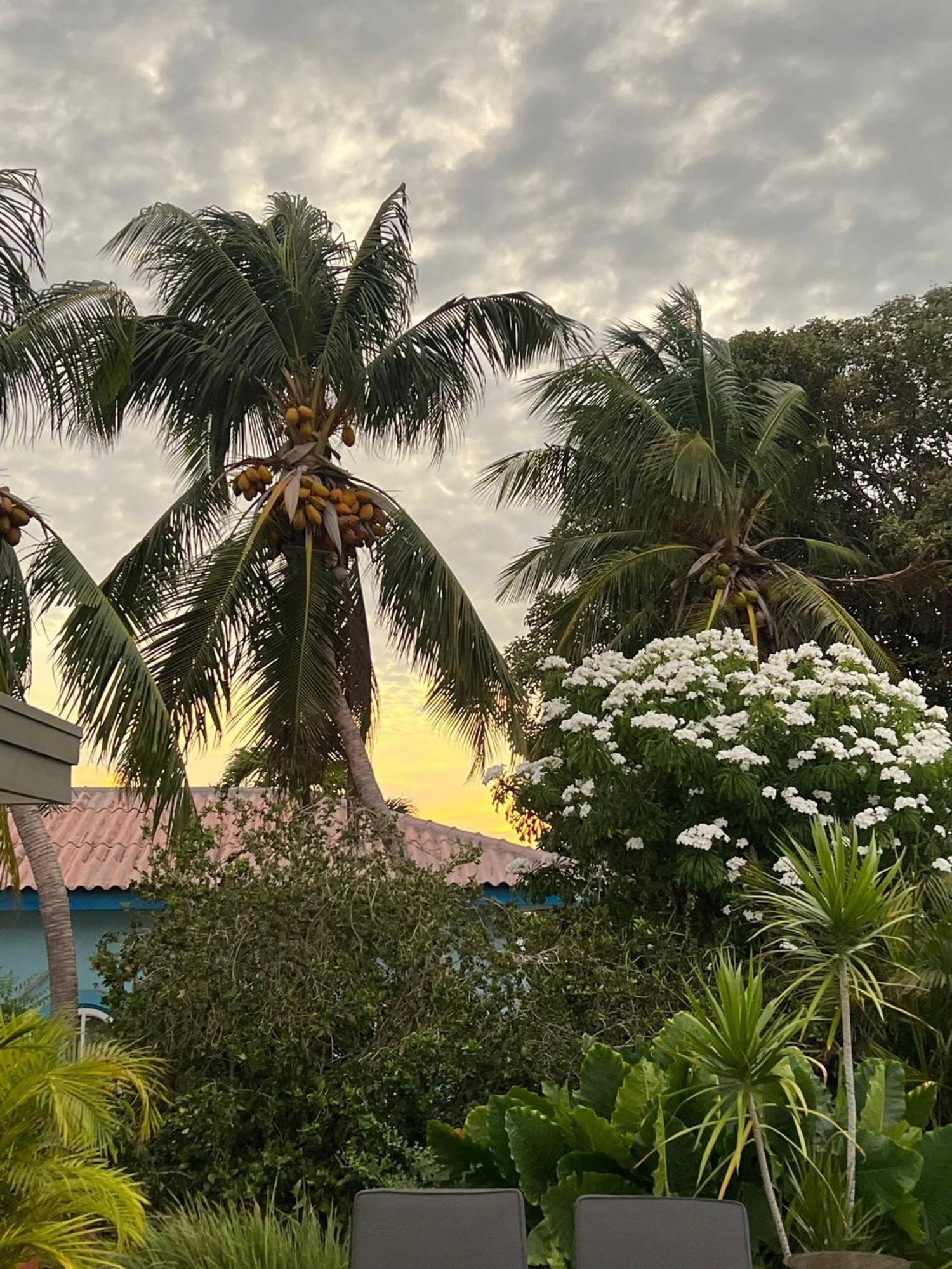 Happy Curoase Bed and Breakfast Willemstad Buitenkant foto